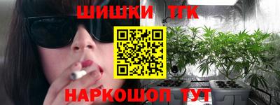 сатива Славгород