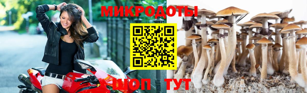 Галлюциногенные грибы мухоморы Новочеркасск